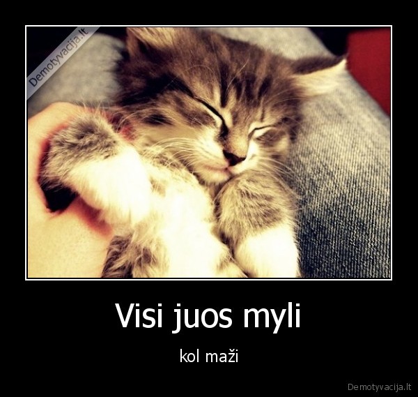 Visi juos myli