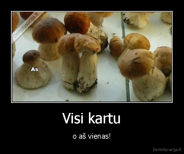 Visi kartu