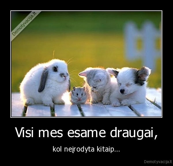 draugai