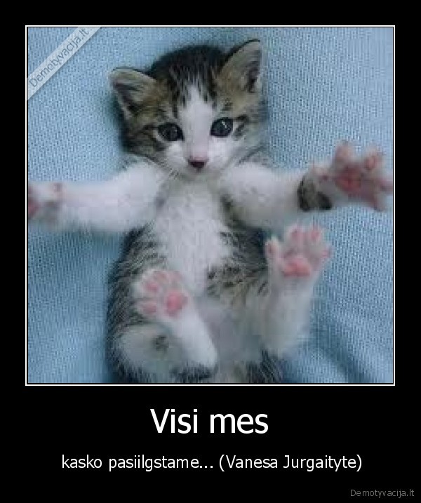 Visi mes