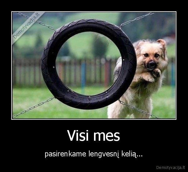 Visi mes