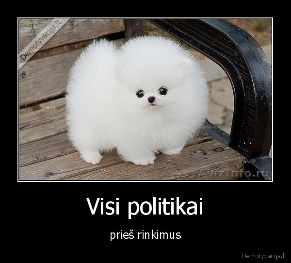rinkimai,politikai