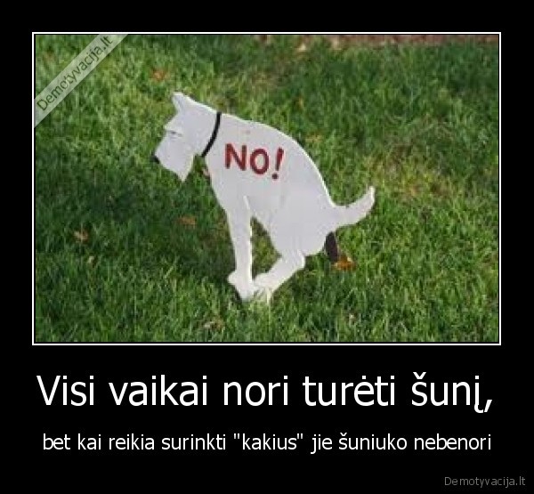 suo
