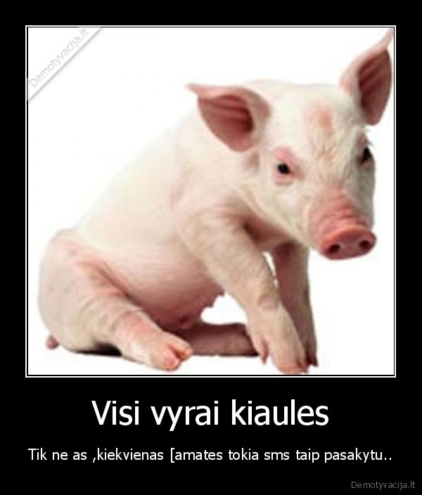 Visi vyrai kiaules