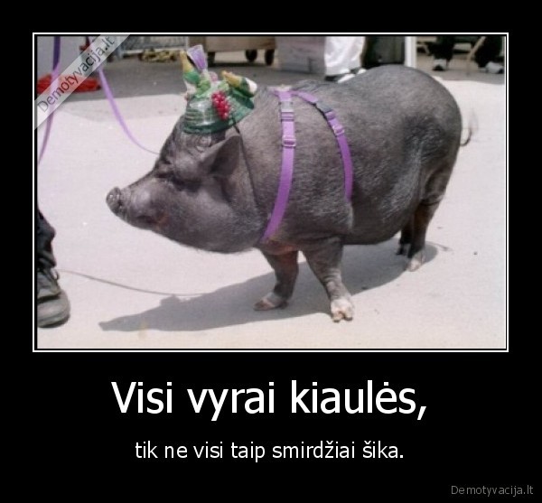 vyrai,kiaules
