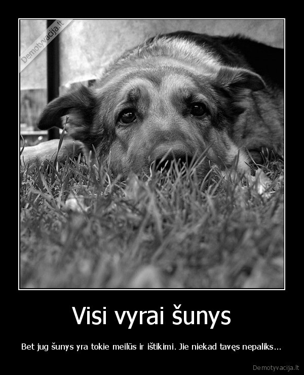 gyvunai,istikimybe