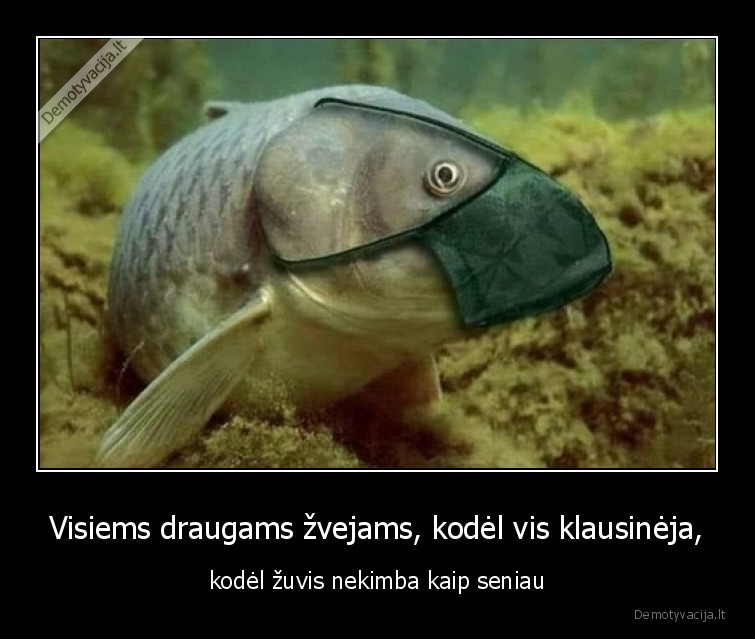 zuvis,kimba,kaukes,zvejyba,pandemija,karantinas,kauke