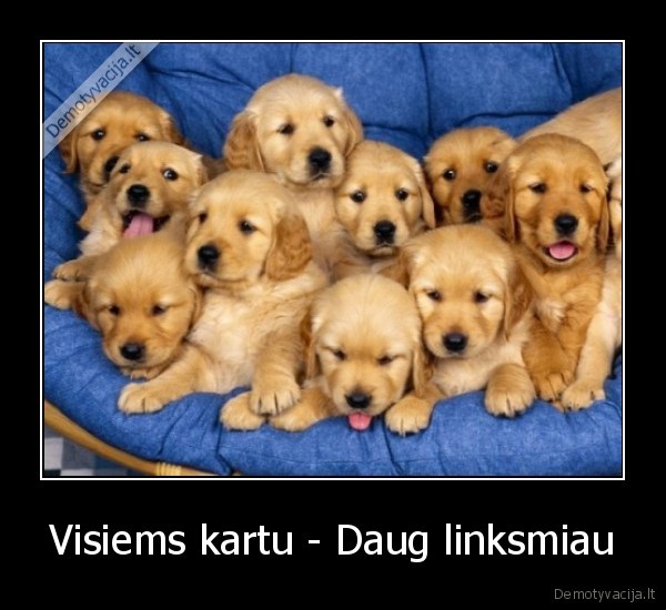 Visiems kartu - Daug linksmiau