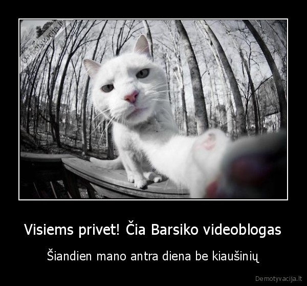 Visiems privet! Čia Barsiko videoblogas