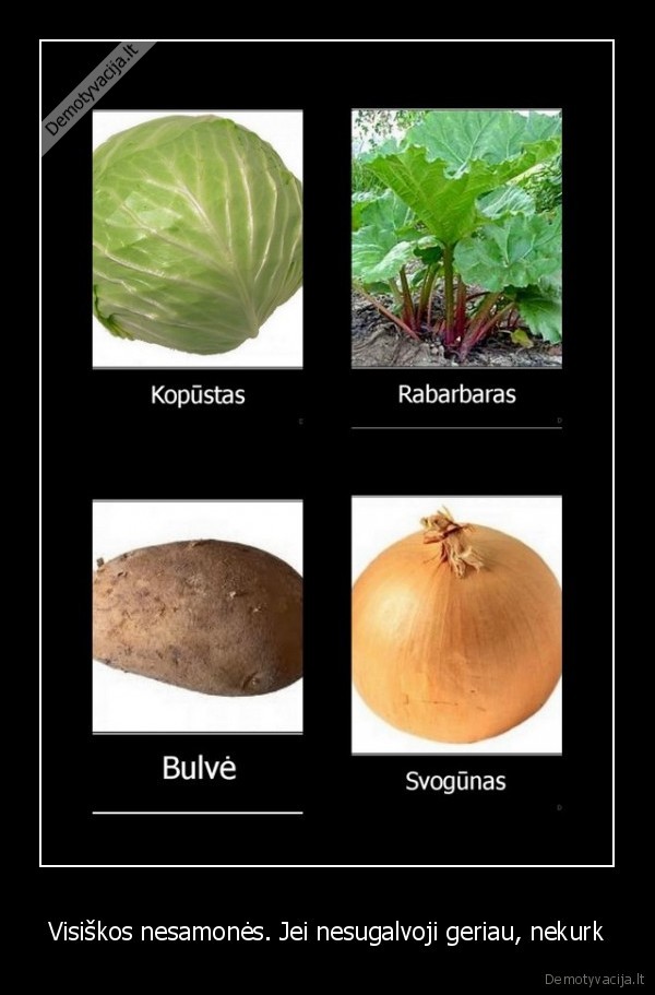 rabarbaras,glusas,ciulpia, 2