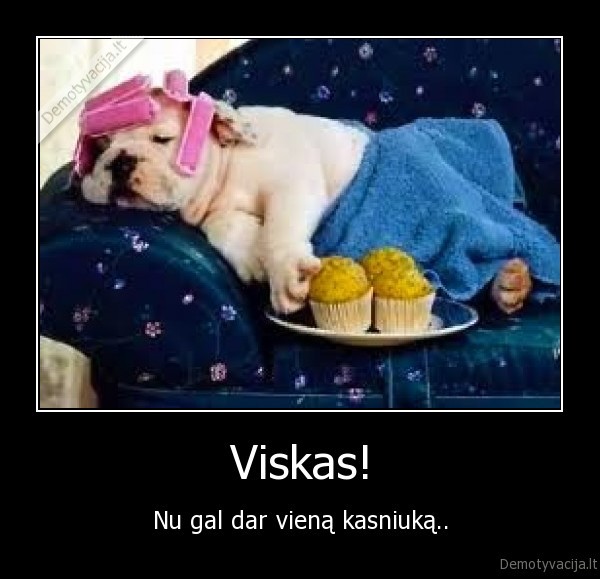 Viskas!