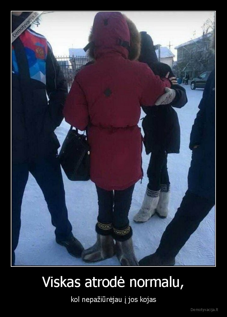 kojos,wtf,normalu