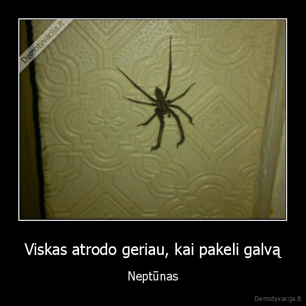 Viskas atrodo geriau, kai pakeli galvą