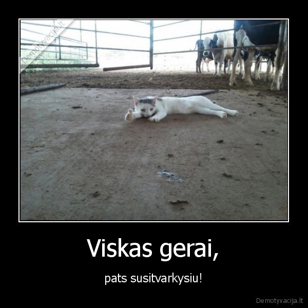 Viskas gerai,