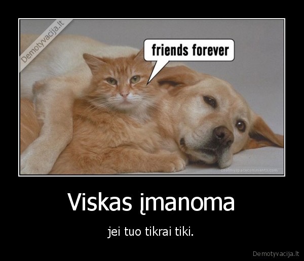 Viskas įmanoma
