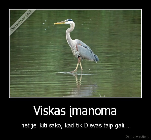 Viskas įmanoma