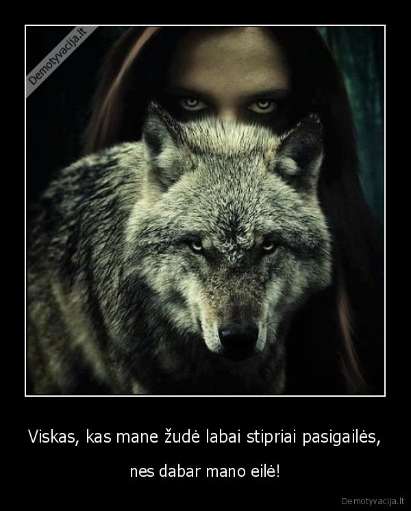 gailetis,zude