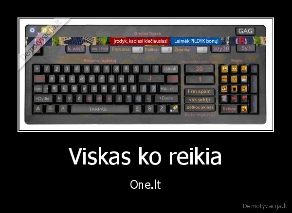 Viskas ko reikia
