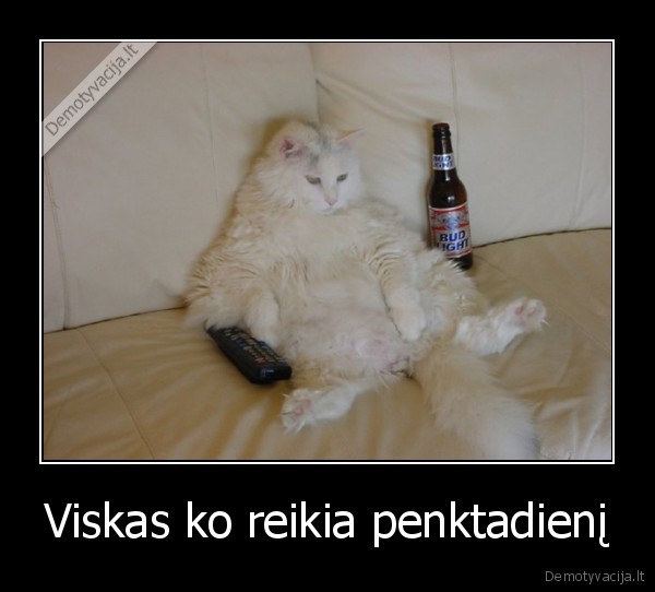 Viskas ko reikia penktadienį