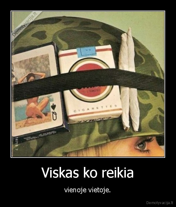 Viskas ko reikia