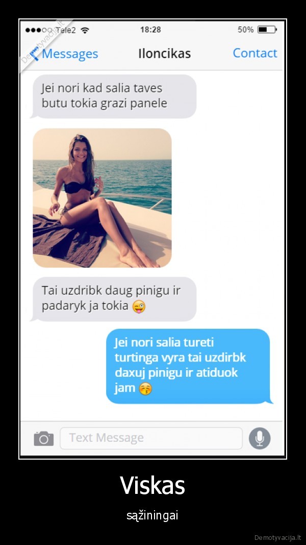 panele,grazi,salia,turtai,pinigai