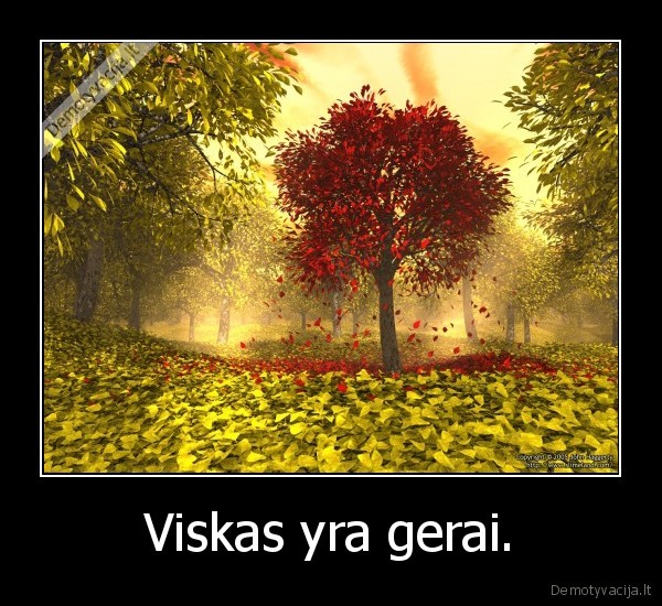 Viskas yra gerai.