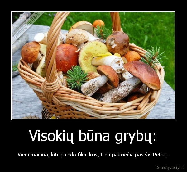 grybai