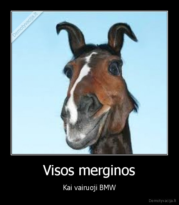 Visos merginos