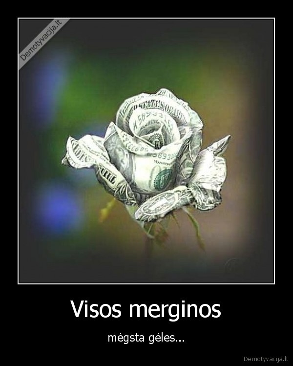 Visos merginos