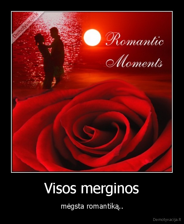 meile,meile