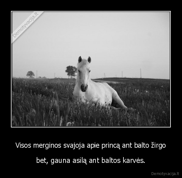 Visos merginos svajoja apie princą ant balto žirgo