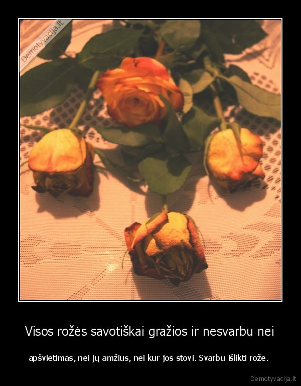 randai,istorijos,legendos,zodziai