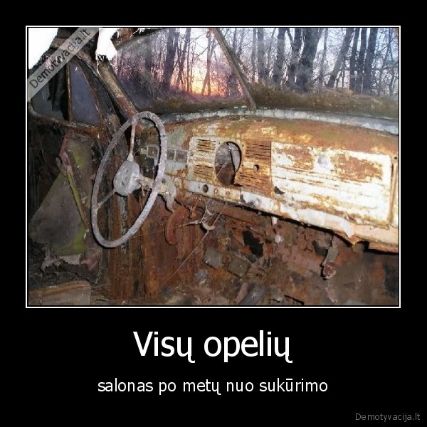 Visų opelių