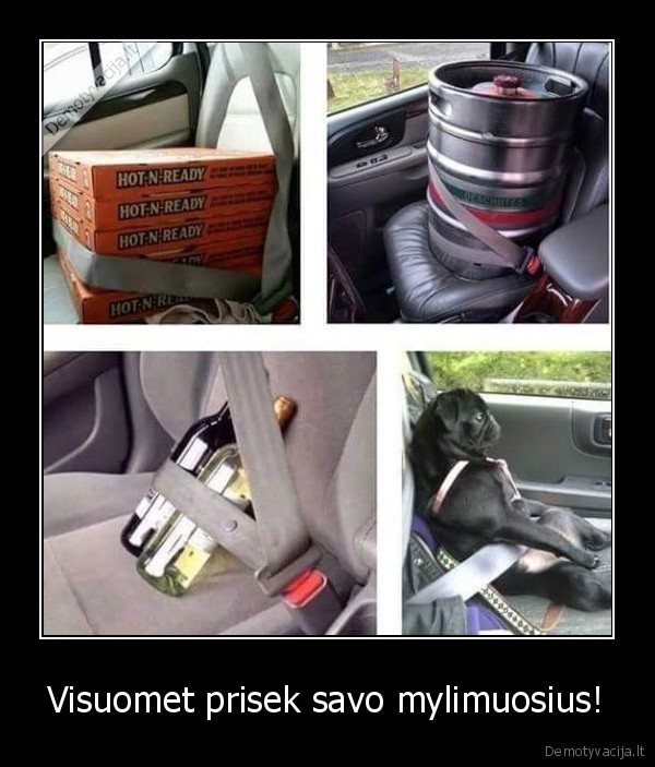 automobilis,alus,vynas,suo,mylimieji