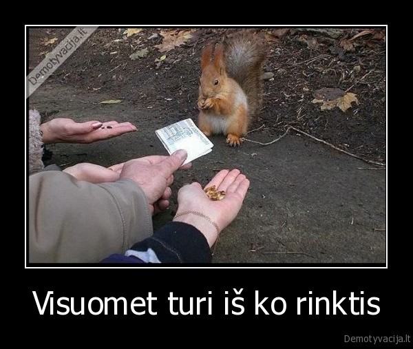 pasirinkimas,galimybe,vovere,pinigai,delnas