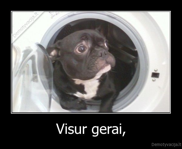 Visur gerai,