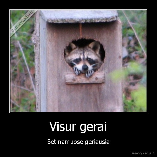 Visur gerai
