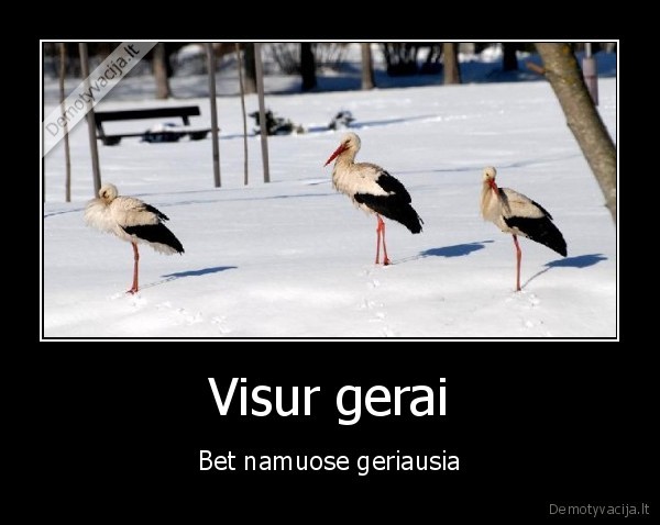 pavasaris,namai,oras,ziema,pavasaris,gandrai,sniegas