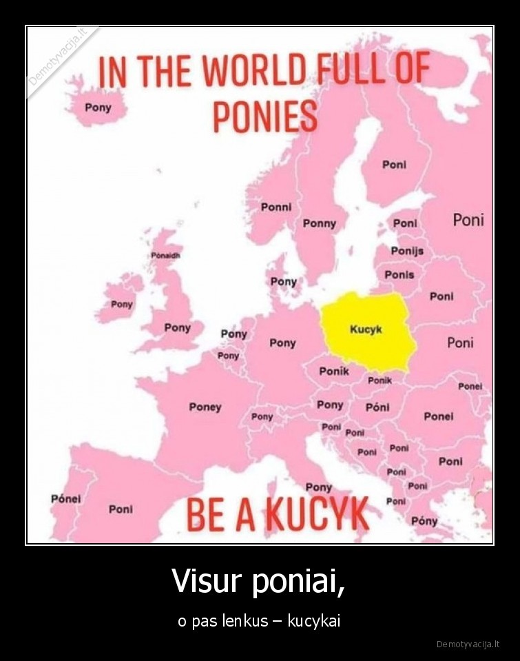kucyk,poniai,europa,kalba