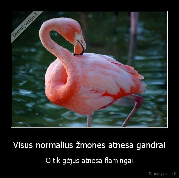 Visus normalius žmones atnesa gandrai