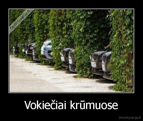 bmw, automobiliai