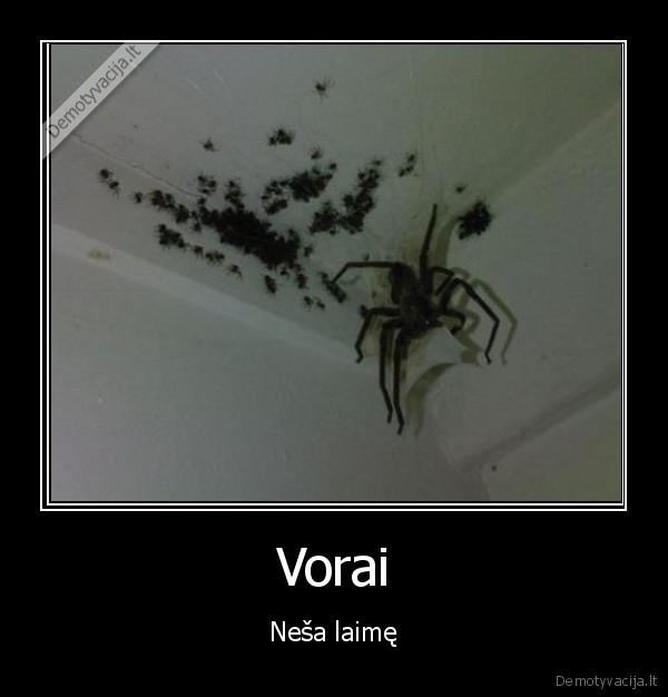 Vorai