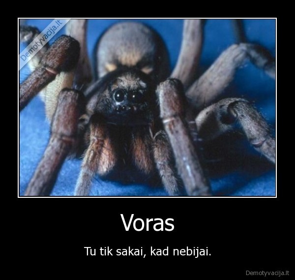 fobija,voras