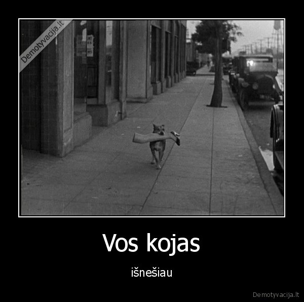 kojos,suo