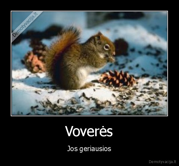 Voverės