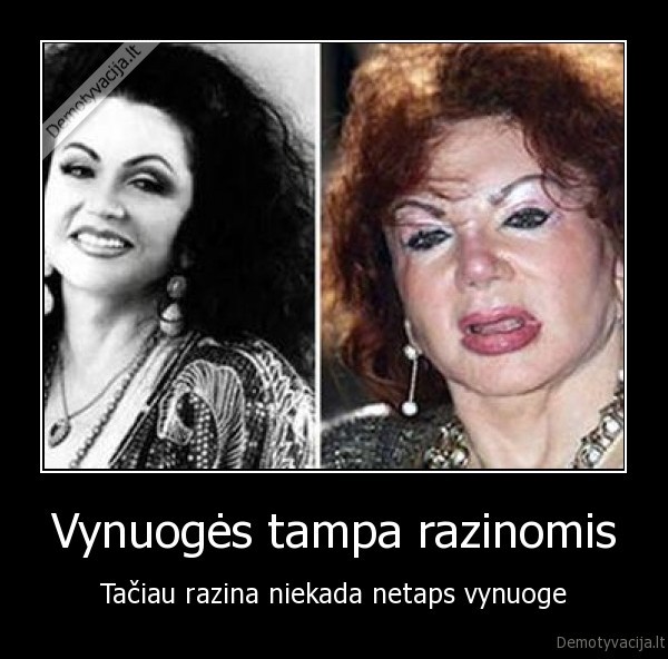 Vynuogės tampa razinomis
