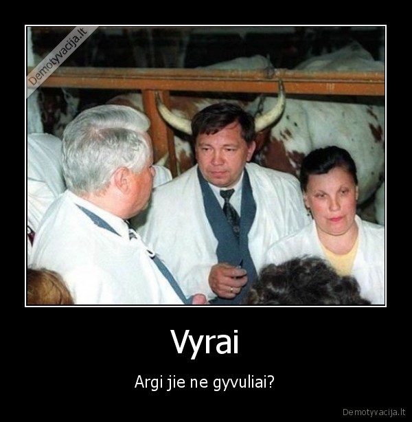 vyrai,bulius,ragai