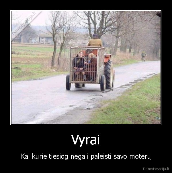 Vyrai