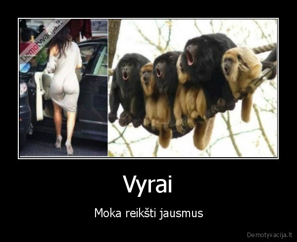 Vyrai