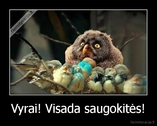 peleda,saugotis
